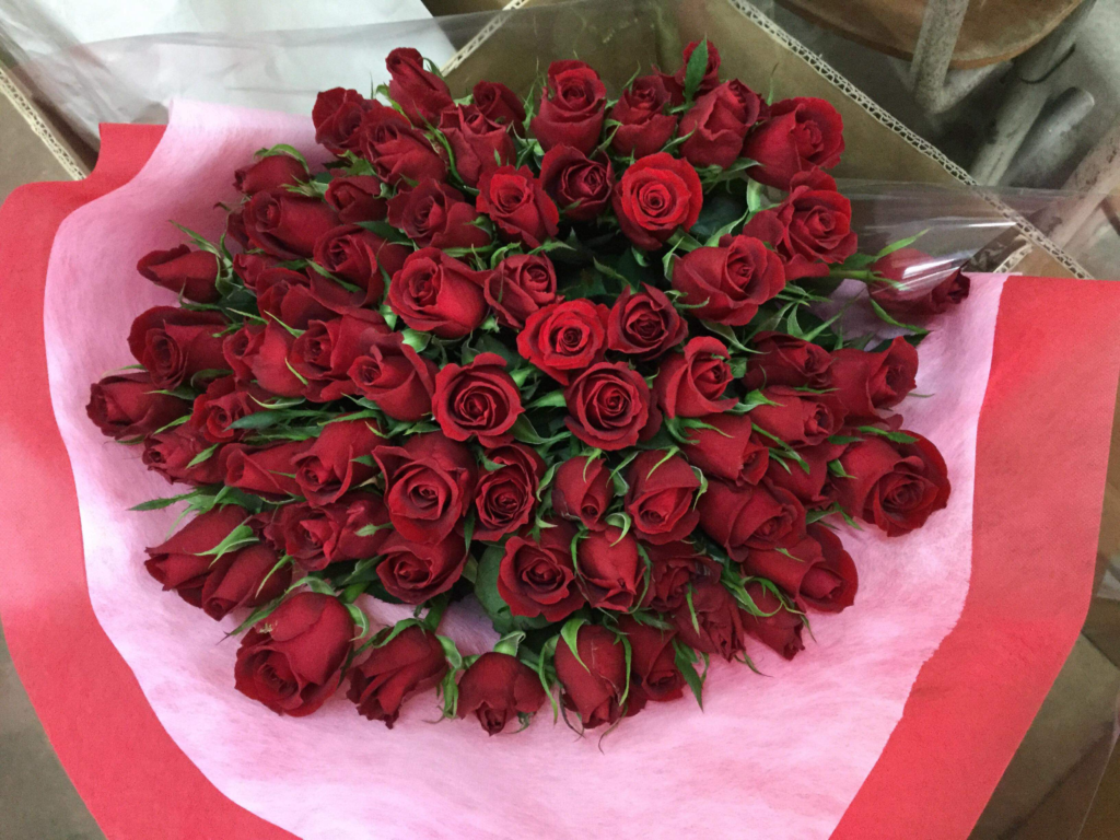 奥様の誕生日に赤バラの花束を 矢野バラ園